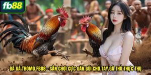 Đá Gà Thomo FB88 – Sân Chơi Cực Gần Gũi Cho Tay Gà Thủ Thực Thụ