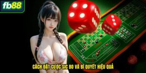 Cách Đặt Cược Sic Bo Và Bí Quyết Hiệu Quả